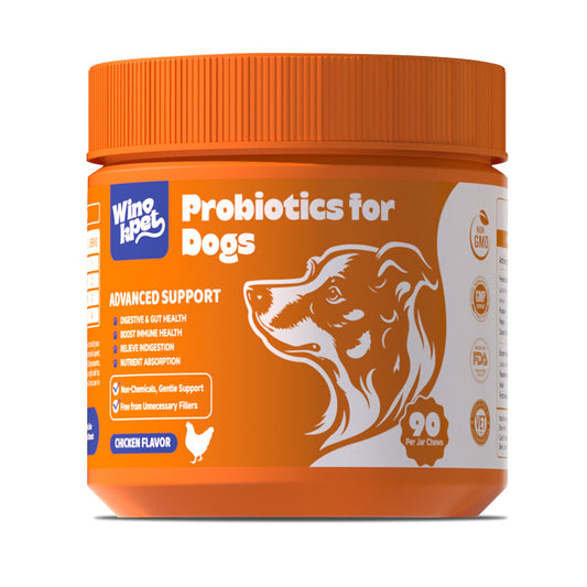 Probiotics for Dogs