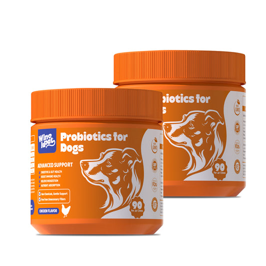 Probiotics for Dogs