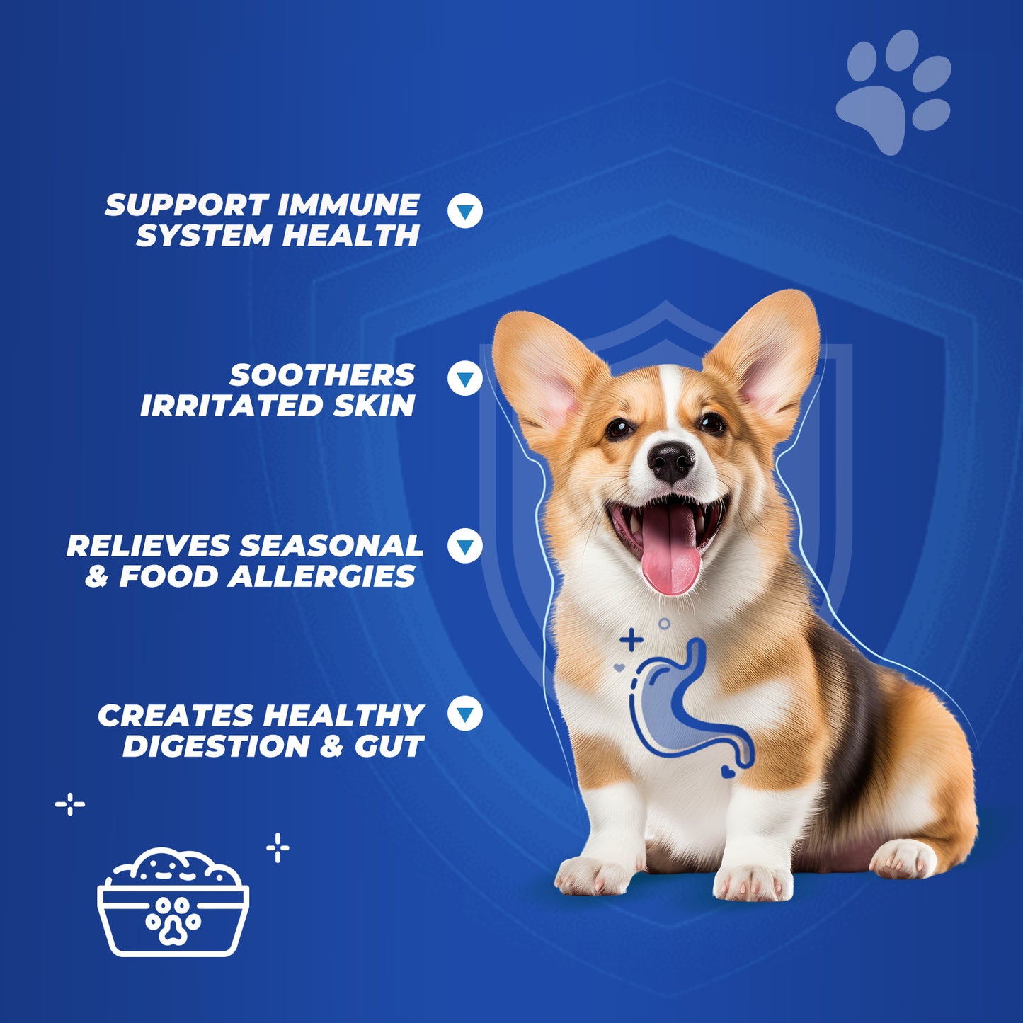 Dog Allergy chews