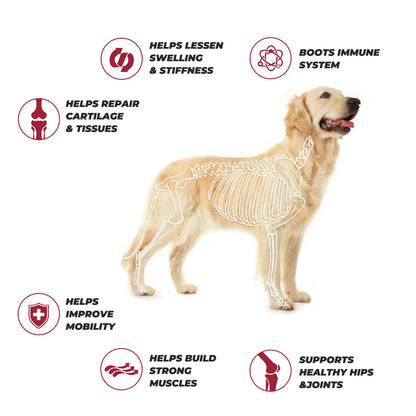 Glucosamine for DogsHip and Joint Supplement Chews