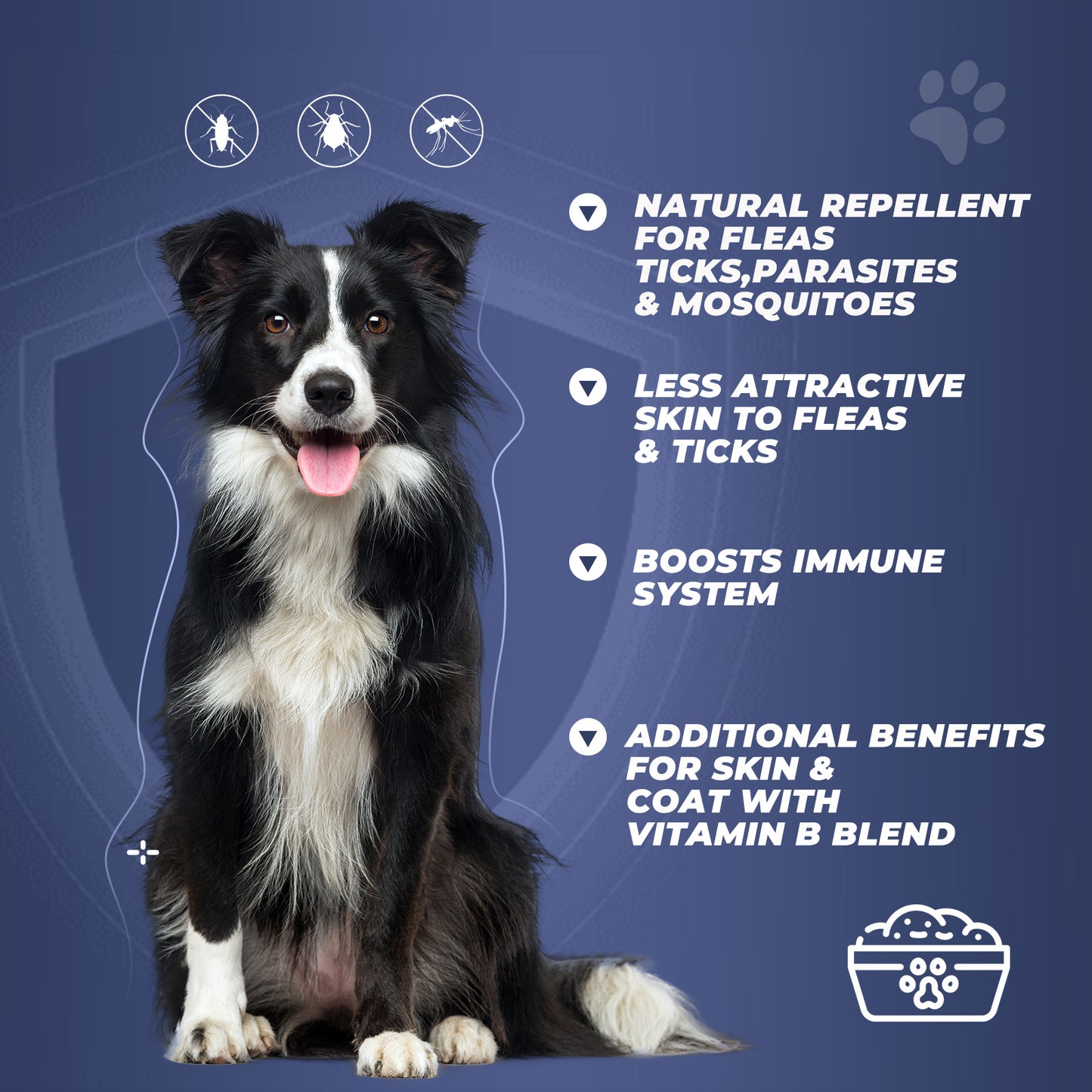 Flea and tick prevention for dogs