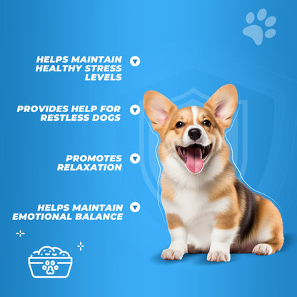 Hemp Calming Chews