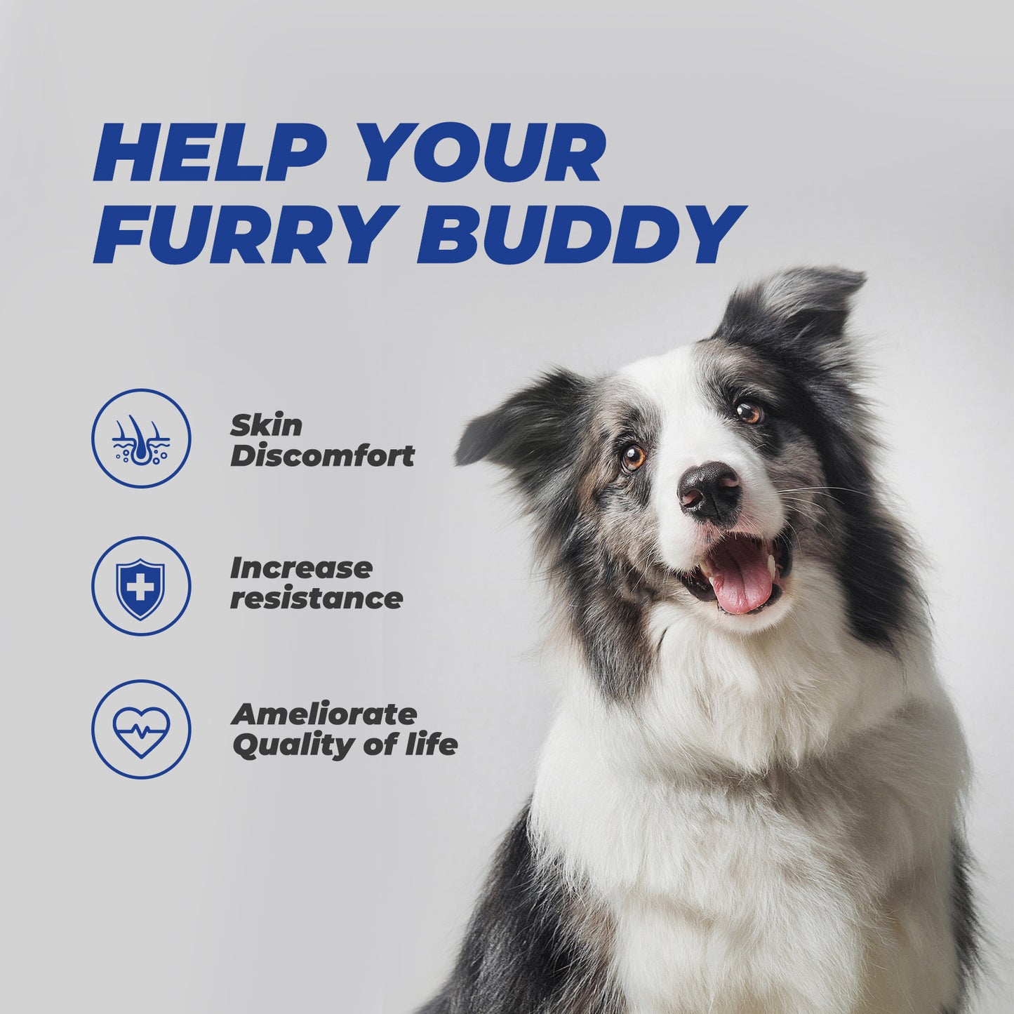 Dog Allergy chews