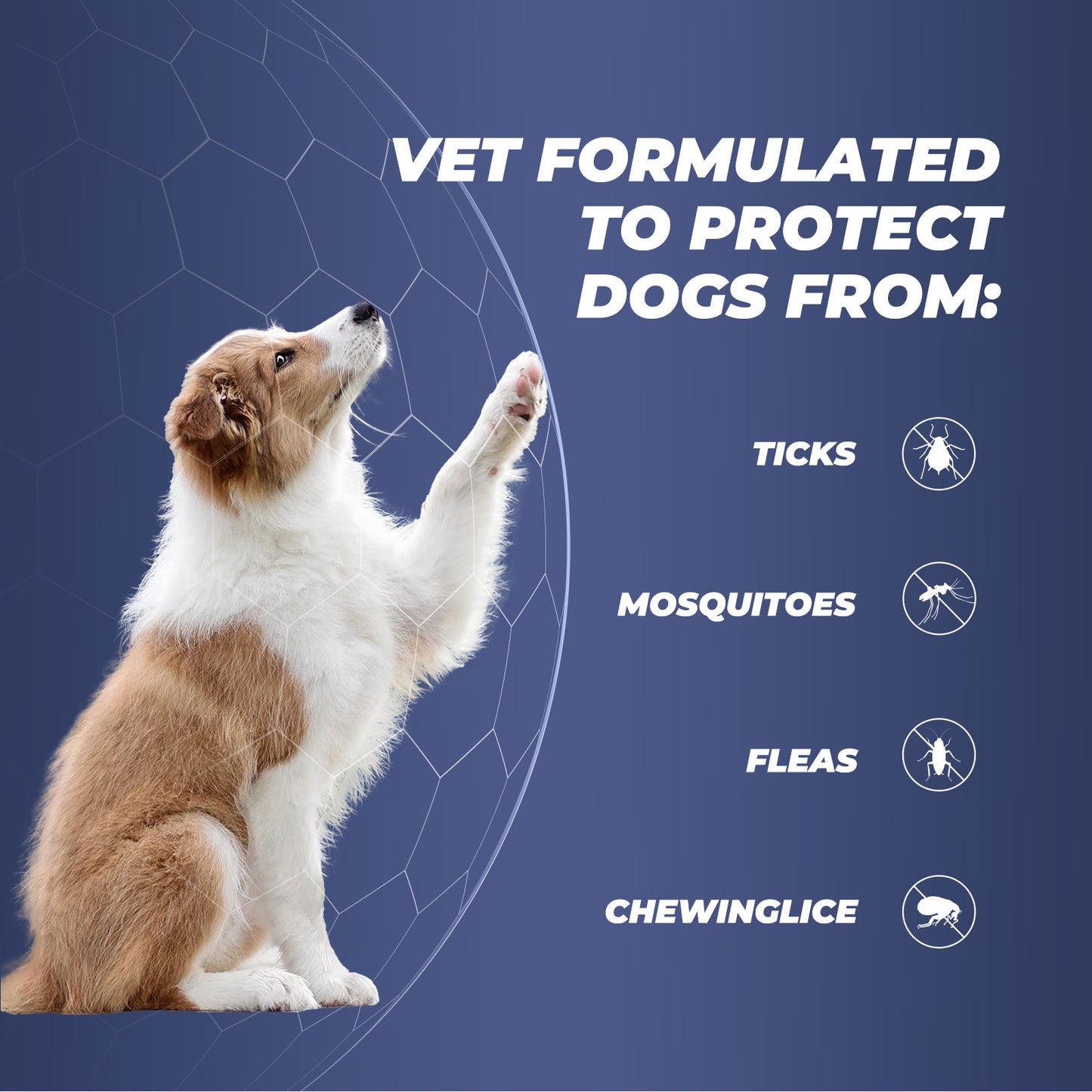 Flea and tick prevention for dogs