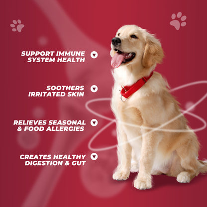 Glucosamine for DogsHip and Joint Supplement Chews