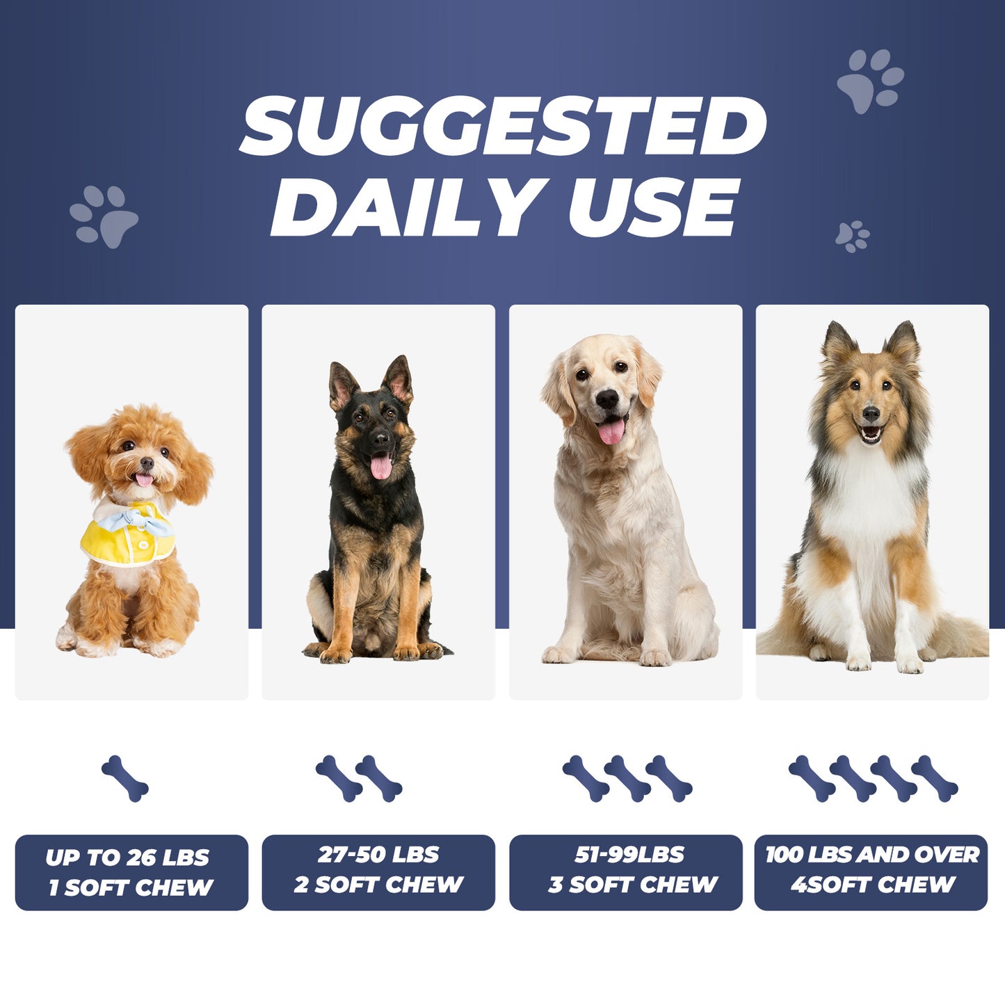 Flea and tick prevention for dogs