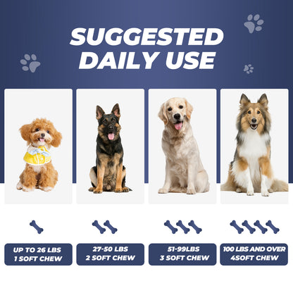 Flea and tick prevention for dogs